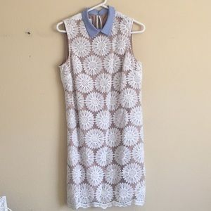 Anthropologie Lace Peter Pan Collared Slip Dress 8